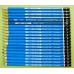 STAEDTLER 施德樓 MS100 頂級藍桿鉛筆 12B